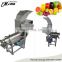 Industrial Stainless Steel Spiral Screw Cold Press Juicer /fruit juice screw extractor
