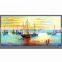 Duolang Image Printing Panel Carbon Crystal IR Wall Mounted Infrared Heater Panel