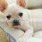 Design Quality Large Dog Mat Kennel Soft Puppy Bed