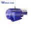 electric motor double shaft