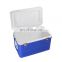 Custom Plastic Insulated Cold 33L Ice Cream Cooler Box For Outdoor Picnic