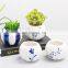 Meaty white porcelain flowerpot green plant flower pot hand-painted creative ceramic mini pot