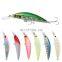 Amazon 70mm 15g Best Sales Sea Fishing Baits Equipment 3D Eyes Good Action Japan Minnow Lures