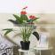 K&B tall floor artificial bonsai trees plant artificial anthurium palm tree plant