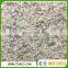 cheap price Santa Cecilia Classic yellow granite