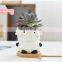 Home Decor Accessories Flower Pots Bulk Ceramic Plant Cute Elephant White Planters Pot Small Mini Plants Animal Dog Planter