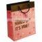 Colorful printing custom craft Paper gift bag