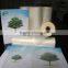 27 micron BOPP Matte Film for Packaging Printing Thermal Lamination
