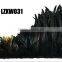 Dyed coque feather tails LZXW086