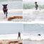 Pet Saver Life Jacket