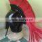Nautical Greek Corinthian Helmet with Red Plume, Armor Medieval Spartan Helmet NRH2002