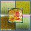 Automatic continuous extruding non-fried instant noodle making machine/production line/plant