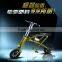 Excellent quality best selling high quality eco electric scooter