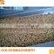 High Technical Good service New Design Peanut Frying Production Line