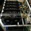 2016 ethereum miner 125M with 390x graphic cards 125M miner with power supply