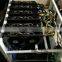 scrypt miner 150M litecoin miner with factory price ethereum miner 120m 150m