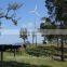 3000W high output wind power system/off grid hybrid solar wind power system