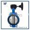 Professional China Manufacturer Customized Cast Iron Valve