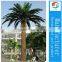 camouflaged seaweed date palm tree tower/bionic palm tree for decoration