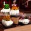 Wholesale Bonsai Pots Ceramic Bonsai Pots Succulent Plants Cheap Bonsai Pots