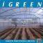 Single tunnel polycarbonate sheet vegetable greenhouse from CHINA