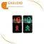 LED pedestrian light with countdown timer