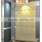 Small Villa Elevator / Home Lift 320kg-400kg