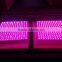 led grow light for hydroponic lettuce netherlands led grow light led grow