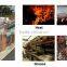 Commercial Kitchen Equipment China, PSG- Unmatched Design And Technical Skill