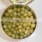 Top quality canned green peas