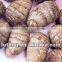 2015 New Crop of Taro From Factory With Good Quality