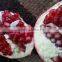 4.5 kg carton box Packing of Fresh Pomegranates from Egypt