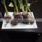 Liliaceous Vegetabless Product Type and Garlic Type High Quality Fresh Normal White