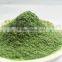 Dried barley grass powder and low price dried barley grass powder