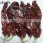 Dried Sweet Pepper