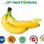 Banana juice puree powder manufacture ISO, GMP, HACCP, KOSHER, HALAL certificated