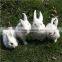 Easter Bunny Taxidermy Gray Grey Jackalope Lying Rabbit Horns