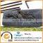 10'X10'X6' Pet Dog Chicken Pup Cat Enclosure Run Cage Kennel Yard