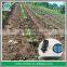 Agricultural Drip Irrigation Hose For Crops Irrigation System