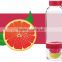 Lemon Cap Water Bottle/Double Wall Water Bottle 500ml Tea Infuser/Private Label Infuser/Fruit Bottle