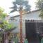 SJ12001117 Indoor palm tree plant/outdoor green palm plants/fan palm plant