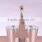 Metal Zinc Double Pot for Children, Home, Garden