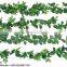 Artificial Ivy