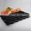 Popular Wholesale Texas USA Promotion High Grade Black Blue Color 5LB Tomato Insert Tray