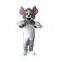 Tom and Jerry, Disney cartoon, Cartoon costume character, disneyworld character, walking costumes