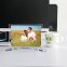 Transparent Funny Photo Frames Arched Stent Picture Frame Plexiglass Photo Display