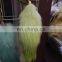 gradient color real fox fur tail furry keychain accessories