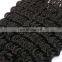 India Sexy Girls Photos Hair Wig New Premium High Quatily Human Hair Wig Cuticle