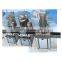 The Economic liquid filling machine/pet plastic bottle filling