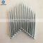 China 1-10 inch length low carbon SAE1006 SAE1008 Q195 steel wire rod  iron wire nails